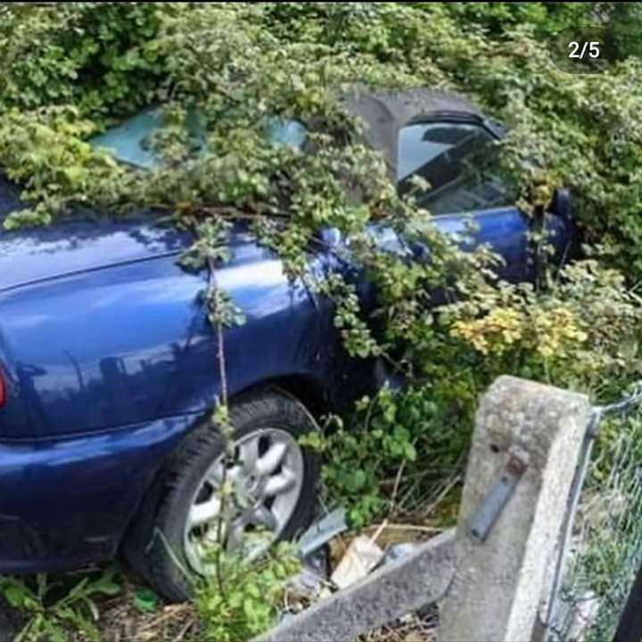 MG F In Hedge